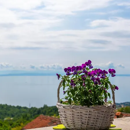 Beautiful Casa Dea With Pool In Opatija Ičići